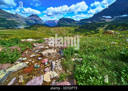 Wildflower Meadow Rocky Trail and Mountain Peaks Hidden Lake Trail Montana Banque D'Images