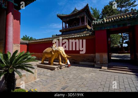 Gros plan de la statue dorée des 'quatre amis harmonieux', un éléphant, un singe, un lapin et un oiseau - style tibétain Puning si Temple à Chengde Chine Banque D'Images