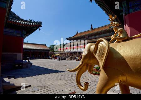Gros plan de la statue dorée des 'quatre amis harmonieux', un éléphant, un singe, un lapin et un oiseau - style tibétain Puning si Temple à Chengde Chine Banque D'Images