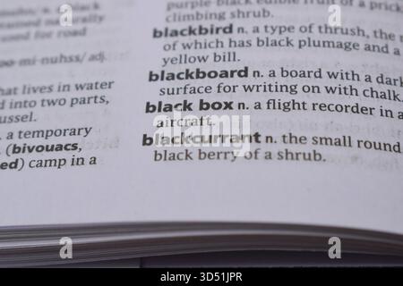 English Definition Dictionary page gros plan du mot imprimé de -black box Banque D'Images