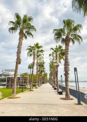 Promenade piétonne bordée de palmiers le long de la plage de Konyaalti à Antalya, Turquie Banque D'Images
