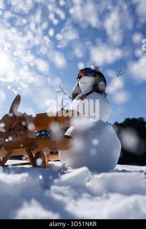 Décorations de Noël bonhomme de neige. Bonhomme de neige dans un paysage enneigé. Bonhomme de neige dans la nature hivernale. Bonhomme de neige avec bannière d'hiver de nez de carotte. Bonhomme de neige à l'extérieur avec Banque D'Images