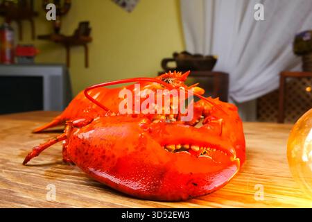 Homard bouilli, homard cuit, homard rouge. Banque D'Images