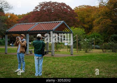 Tokyo, Japon. 13 novembre 2025. Les visiteurs prennent des photos au parc Yoyogi à Tokyo, Japon, 13 novembre 2025. Crédit : Jia Haocheng/Xinhua/Alamy Live News Banque D'Images