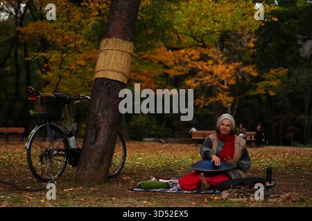Tokyo, Japon. 13 novembre 2025. Un visiteur joue d'un instrument de musique au parc Yoyogi à Tokyo, Japon, 13 novembre 2025. Crédit : Jia Haocheng/Xinhua/Alamy Live News Banque D'Images