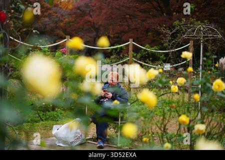 Tokyo, Japon. 13 novembre 2025. Un homme se repose au parc Yoyogi à Tokyo, Japon, 13 novembre 2025. Crédit : Jia Haocheng/Xinhua/Alamy Live News Banque D'Images