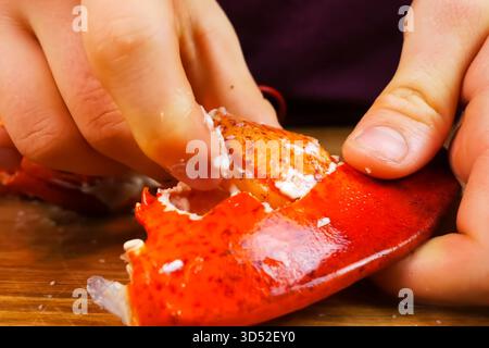 Homard bouilli, homard cuit, homard rouge. Banque D'Images