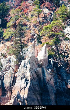 Gros plan extrême de formations rocheuses déchiquetées et tranchantes et de pins résistants sur une paroi escarpée du canyon de Green Canyon Banque D'Images