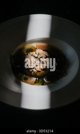 Un bol de nourriture avec une ombre dessus. La nourriture est un mélange de viande et de légumes Banque D'Images