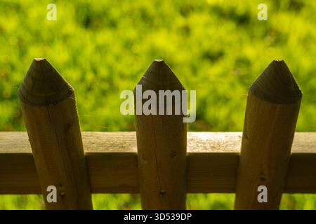 Gros plan d'une clôture de piquet en bois avec fond d'herbe verte floue. Banque D'Images