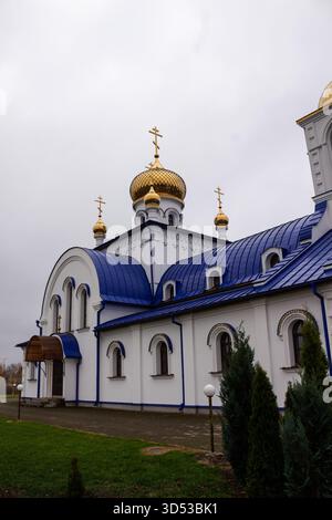 Église orthodoxe de l'entrée dans le temple du très Saint Theotokos à Kobrin, Biélorussie, avec des dômes dorés et un toit bleu entouré d'arbres d'automne Banque D'Images