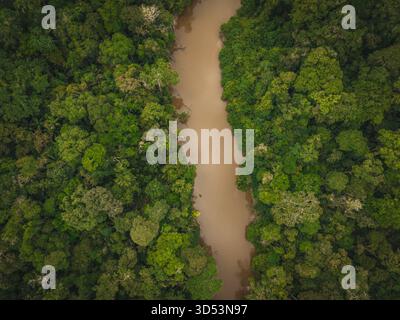 Vue aérienne d'une rivière boueuse serpentant à travers une canopée dense et dynamique de forêt tropicale, mettant en valeur la beauté brute de la nature d'en haut, Tipishca, Sucumbios, Ecuado Banque D'Images