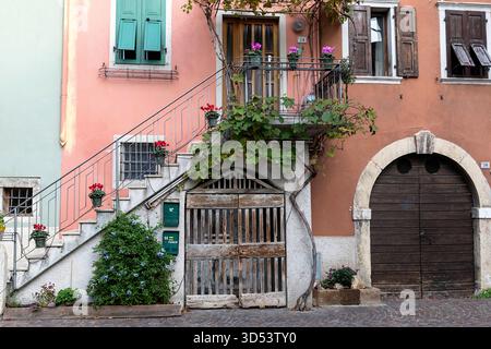 Petite collection de plantes dans des pots en terre cuite devant une vieille maison, Torbole, lac de Garde, trentin, Italie Banque D'Images