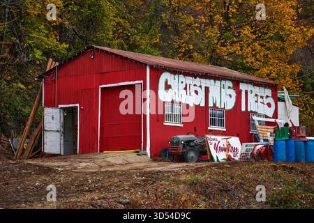 Une vieille grange rouge vendant des arbres de Noël. À Engewater, NJ Banque D'Images