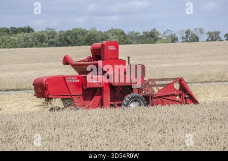 Ancienne moissonneuse-batteuse Massey Ferguson récoltant le blé lors d'un festival de récolte à l'ancienne à Svenstorp, municipalité d'Ystad, comté de Skane, Suède, Caroline du Sud Banque D'Images