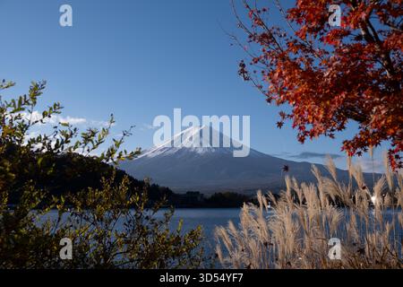 Mont Fuji avec feuilles d'automne vues depuis le lac Kawaguchiko Banque D'Images