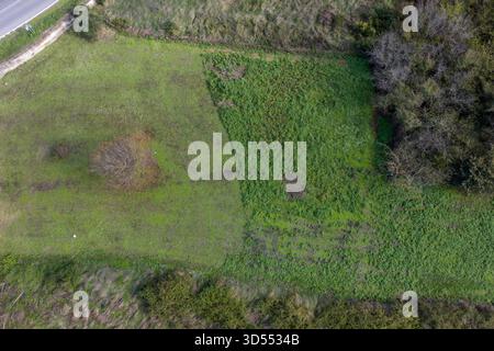 Vue aérienne de haut en bas d'un champ agricole vert avec différentes textures, des parcelles d'herbe et des buissons Banque D'Images