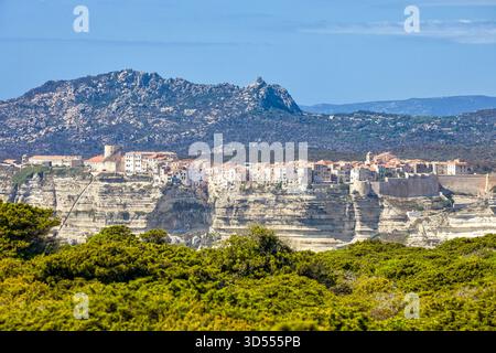 Vue sur la ville médiévale de Bonifacio avec sa côte calcaire blanche ensoleillée et son ciel bleu Banque D'Images
