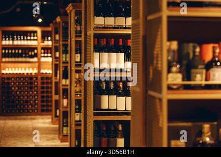 Cave à vin moderne rempli diverses bouteilles de vin, photographie rapprochée. Long couloir avec étagères en bois remplies bouteilles de vin d'élite dans la cave de Banque D'Images