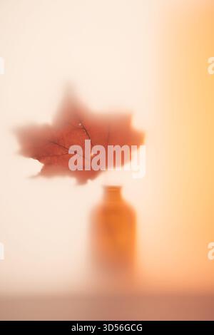 Feuille d'érable d'automne apparaissant derrière du verre dépoli, créant une composition abstraite et rêveuse avec une lumière douce et un style minimaliste, avec un blurre Banque D'Images