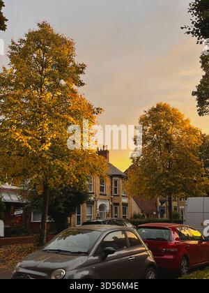 Une rue résidentielle paisible à Hull, en Angleterre, capturée au coucher du soleil avec des arbres d'automne dorés vibrants. La lumière chaude du soir met en valeur la tradition britannique traditionnelle Banque D'Images