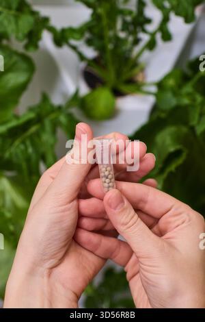 Tenir un flacon de graines dans un jardin intérieur nourricier rempli de vie et de croissance vibrantes Banque D'Images