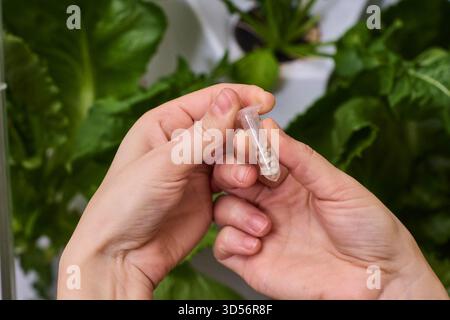 Tenir un flacon de graines dans un jardin intérieur nourricier rempli de vie et de croissance vibrantes Banque D'Images