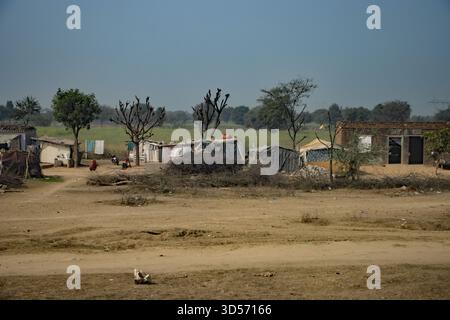 Vue sur la campagne du Rajasthan prise du train entre Sawai Madhopur et Jaipur Banque D'Images
