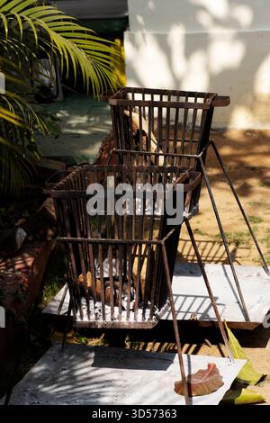 Fosses à feu de jardin indien typiques prêtes à l'emploi Banque D'Images