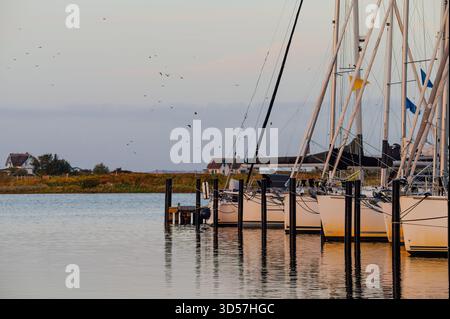 Voiliers et maisons en bord de mer à Heiligenhafen Marina, Allemagne Banque D'Images