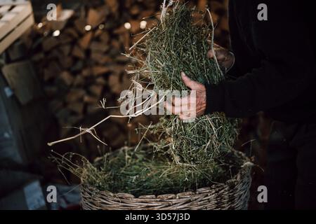 Farmer collecte le foin frais dans une grange rustique Banque D'Images