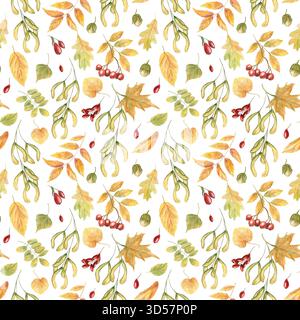 Aquarelle feuilles d'automne et baies modèle sans couture sur fond isolé. Érable, chêne, Acer, feuille de frêne, rowan et épine-vinette ornées. Banque D'Images