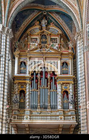 Italie - Orvieto - Duomo di Orvieto - orgue à tuyaux très orné dans un cadre de chapelle richement décoré Banque D'Images