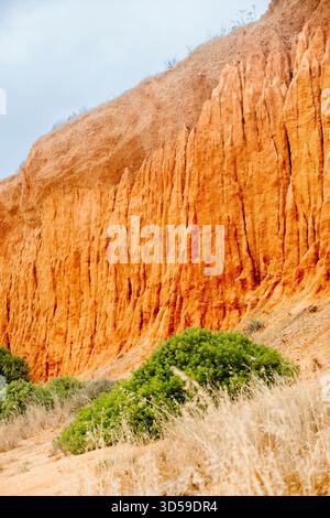 Vue imprenable sur Praia do Poço Velho à Albufeira, Algarve, Portugal, avec ses falaises spectaculaires et ses formations rocheuses inhabituelles. L'image est mise en surbrillance Banque D'Images