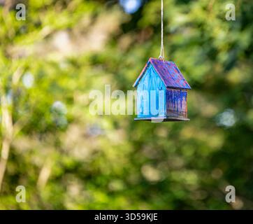 maison d'oiseau simple faite à la main et peinte à la main suspendue à une branche d'arbre Banque D'Images