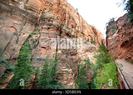 De hautes falaises le long du West Rim Trail jusqu'à Angels Landing dans le parc national de Zion, Utah Banque D'Images
