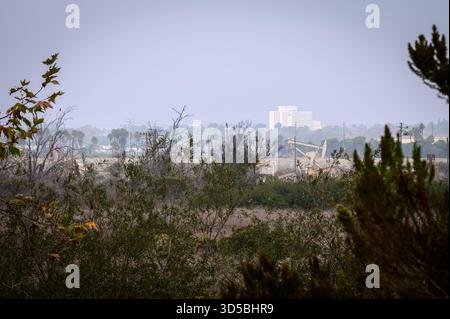 Une végétation indigène dense au premier plan dans le parc Gum Grove, Seal Beach, Californie, avec vue sur les pompes à huile et le centre médical va crédit : Erik Morgan Banque D'Images