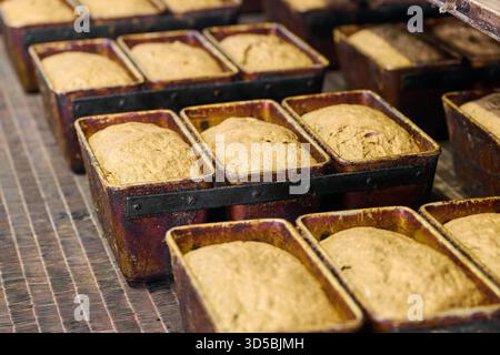 Pâte fermentée dans des moules à pain prêts à être cuits dans une boulangerie très fréquentée qui se prépare à la production Banque D'Images