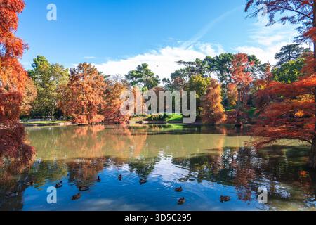 Paysage du Grand étang de Buen Retiro, situé dans le parc du Retiro à Madrid, Espagne. Banque D'Images