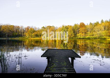 Vue sur le Windsborn Kratersee et le paysage environnant. Nature au lac dans la région de l'Eifel en automne au cratère volcanique près de Bettenfeld Banque D'Images