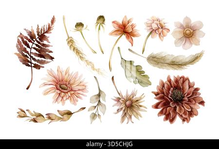 Fleurs d'automne feuilles ensemble. Plantes d'automne Dahlia Chrysanthemum Gerbera. Aquarelle illustration florale dessinée à la main isolé sur fond blanc pour weddin Banque D'Images
