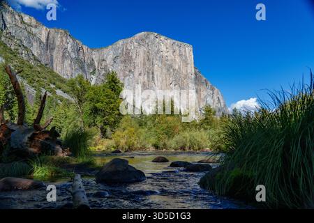 Le majestueux El Capitan de Yosemite Valley domine la Merced River, entouré d'un feuillage vert éclatant sous un ciel bleu clair. Banque D'Images