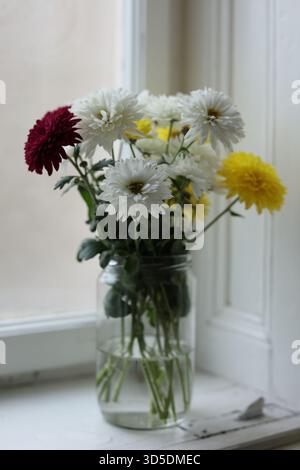 Bouquet de chrysanthèmes de couleurs blanc, jaune et Bordeaux disposés dans un simple bocal en verre et placés sur un rebord de fenêtre. Banque D'Images