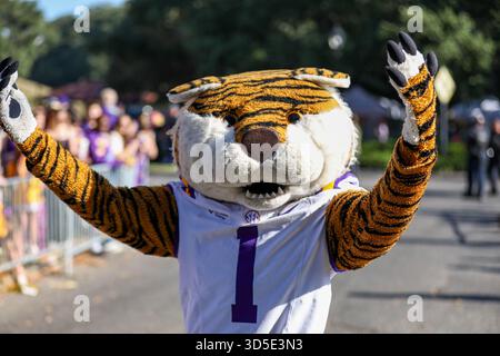 Baton Rouge, LOUISIANE, États-Unis. 15 novembre 2025. La mascotte de la LSU Mike le Tigre descend Victory Hill avant le match de football NCAA entre les Razorbacks de l'Arkansas et les Tigers de la LSU au Tiger Stadium de Baton Rouge, EN LOUISIANE. Jonathan Mailhes/CSM/Alamy Live News Banque D'Images