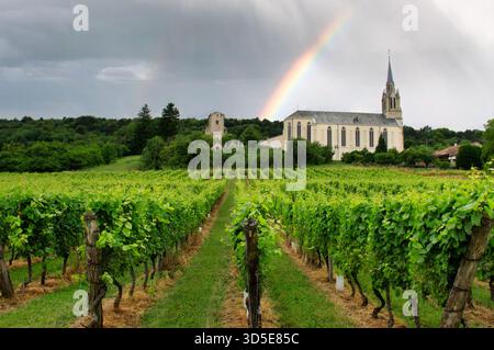 Vignoble avec Rainbow Over Bruley Church et ruines en Lorraine, France Banque D'Images
