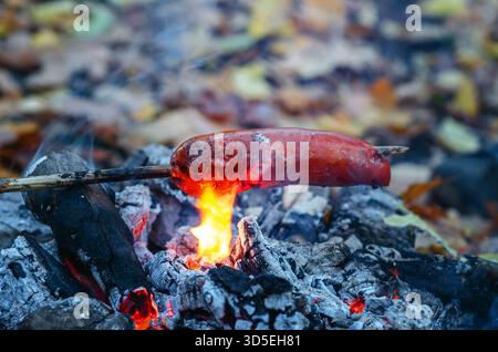 Saucisse grillée sur le feu. Saucisse enfilée sur bâton au-dessus d'un feu de camp. Dîner rapide sur les sites de camping en dehors de la ville. Griller des saucisses sur feu ouvert. Aventure Banque D'Images