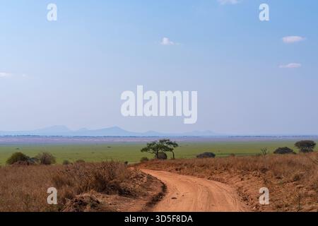 safari road le long de la savane et des montagnes à l'horizon dans le parc national de tarangire en tanzanie Banque D'Images