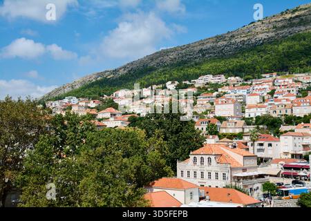 Dubrovnik. Croatie - 15 novembre 2025 : paysage urbain pittoresque de Dubrovnik par une journée d'été ensoleillée. L'architecture historique se mélange avec des arbres verts sous un SK bleu Banque D'Images
