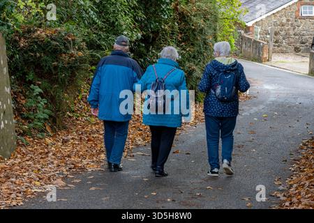 Trois amis âgés profitant de l'air frais marchant ensemble le long d'une voie de campagne à l'automne tous portant des manteaux contre le temps froid. Banque D'Images