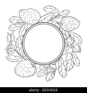 Cadre rond de contour de branche Soursop. Illustration de Vecteur